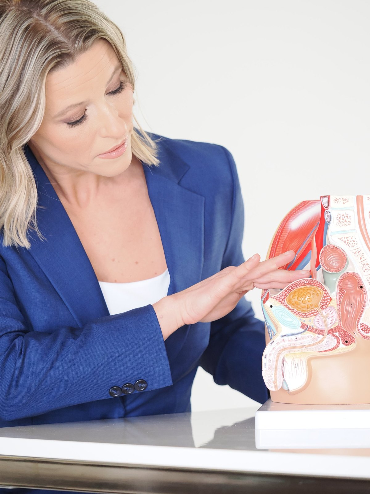 Madelaine Golec pointing to a model of the male pelvis, showing the prostate and bladder